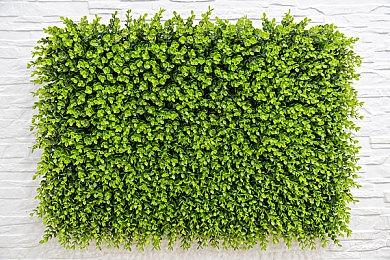 钓鱼RPG《月光水岸》4月11日登陆PS和NS主机